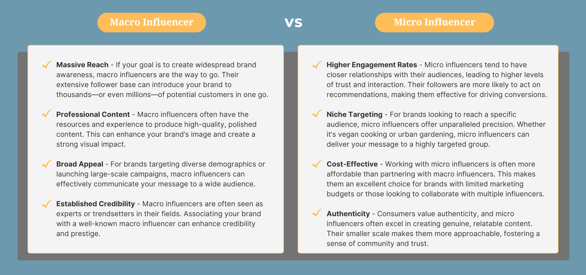 Macro V Micro Influencer Comparison